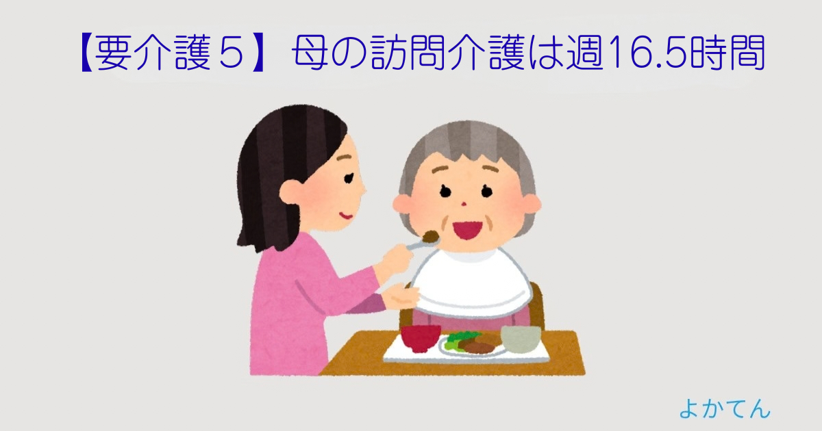【要介護5】母の訪問介護は週16.5時間